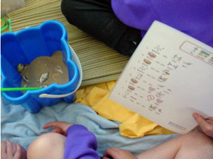 symbol surveys about the beach