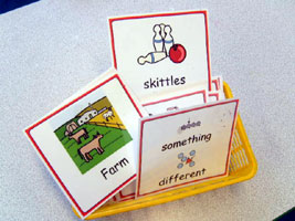 Vocabulary Flashcards