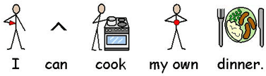sentence showing I and my